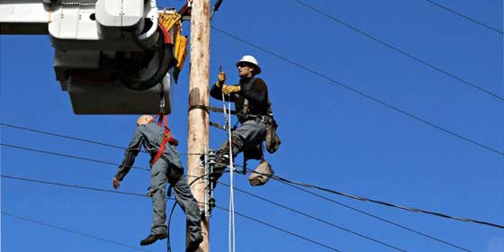 Pole Top Rescue Training​
